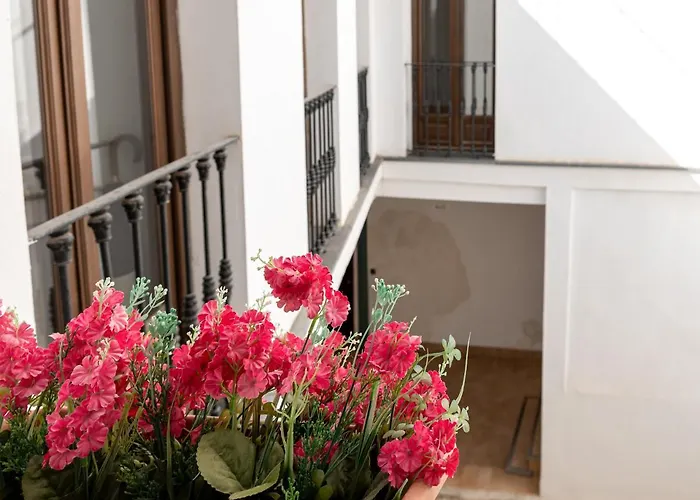 Estudio San Pedro-corredera Córdoba