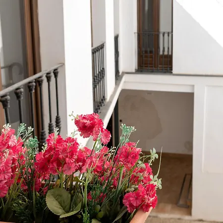 Estudio San Pedro-corredera コルドバ